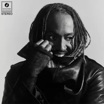 Thundercat Distracted